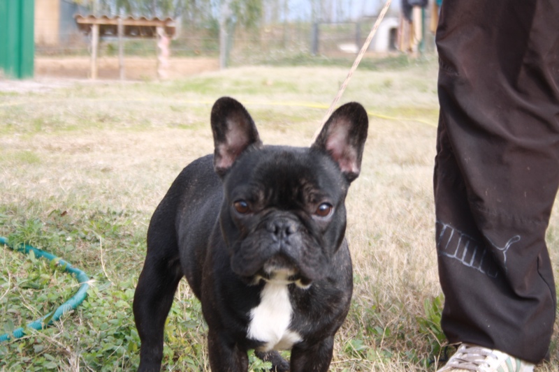 Publication : Le parfum des lavandes Auteur : marie christine mortier