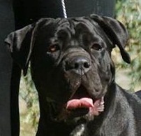 Hola des Dunes Des Sages