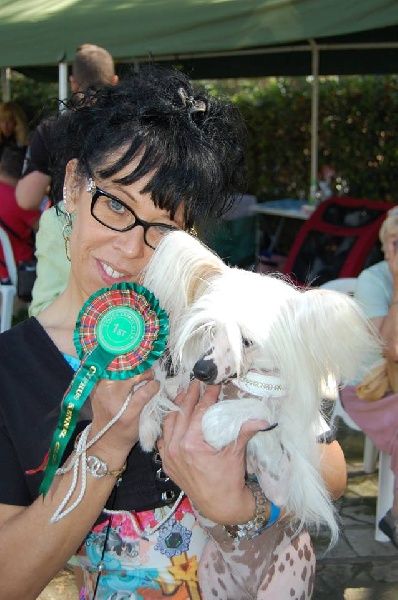 Publication : Joyau De Broceliande 