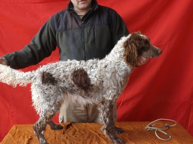 Publication : de la Ferme du Chez