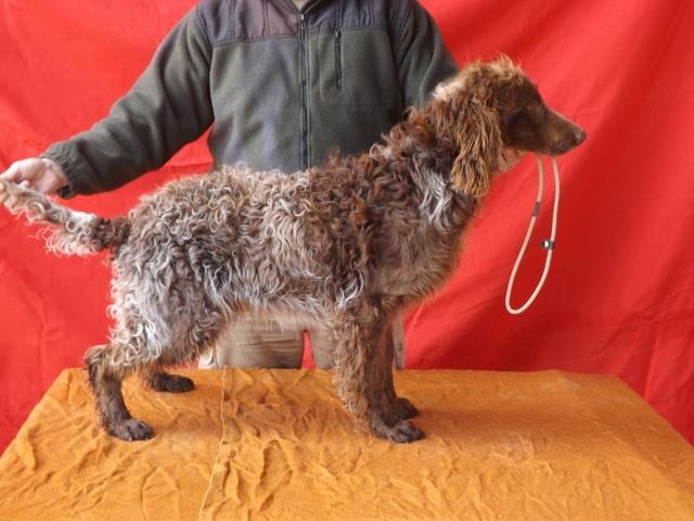 Publication : de la Ferme du Chez 