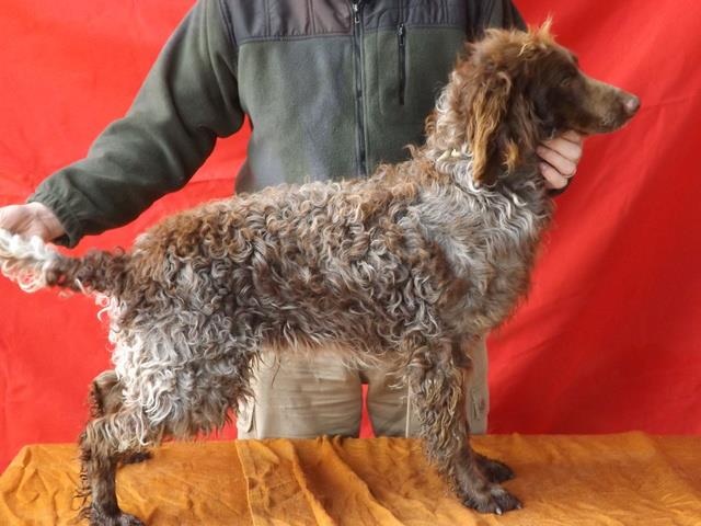 Publication : de la Ferme du Chez