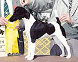 CH. Rapidan Blu vu after hours