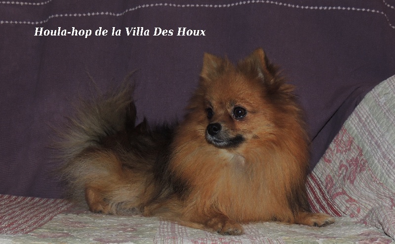 Houla hop De La Villa Des Houx