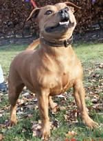 Cleopatra's beauty (Sans Affixe)