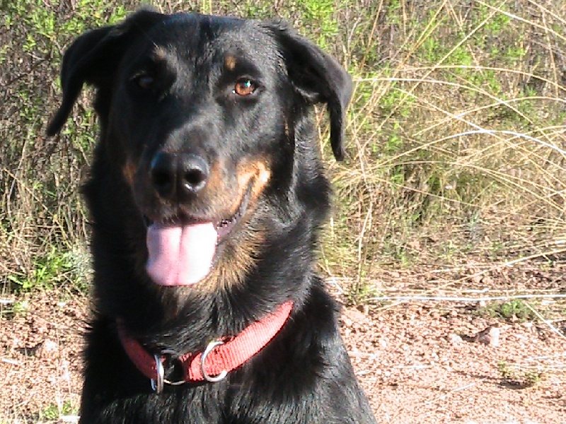 Publication : des Terres de Salomé