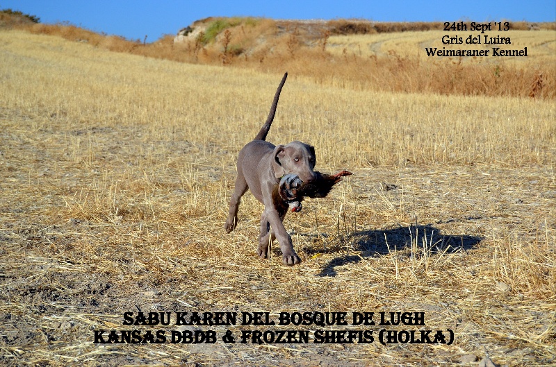 Publication : Gris Del Luira Auteur : Gris Del Luira