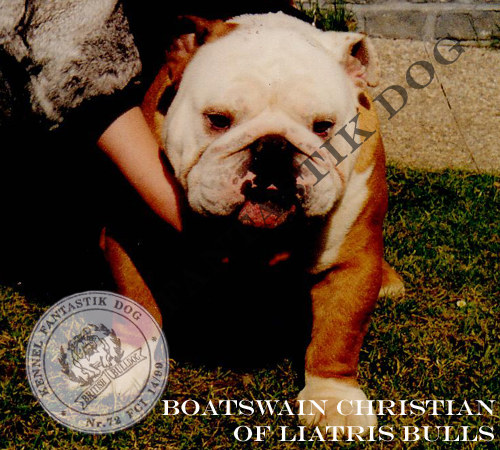 boatswain Christian of liatris bulls