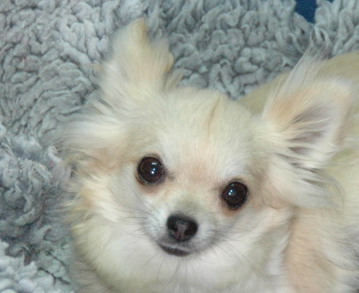 Fashion des jardins de montet