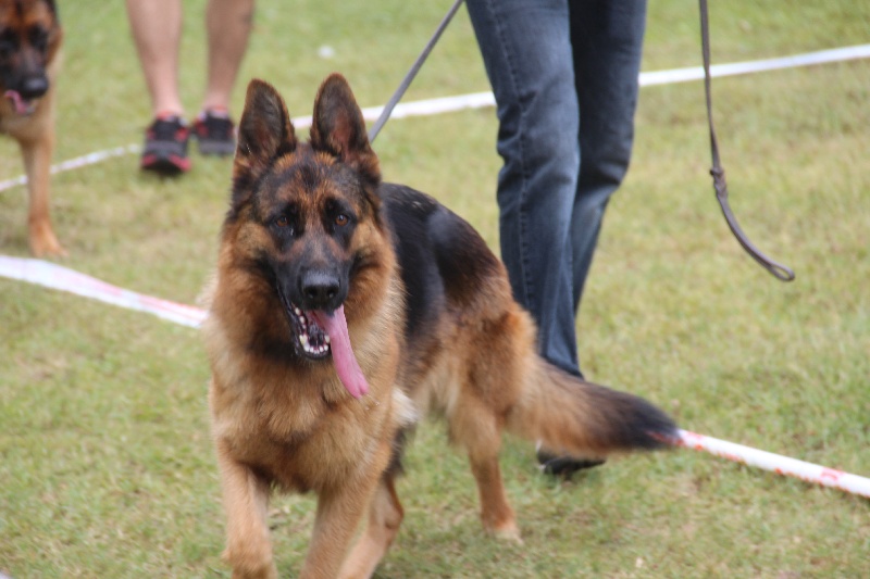 Publication : Du Clos De La Chanson Auteur : N.Belleville