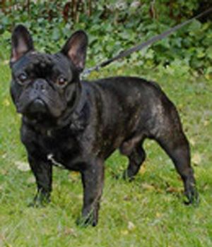 blance noir's Tais meditation