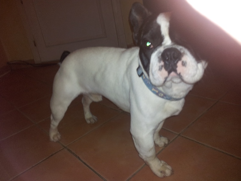 Google (Sans Affixe)