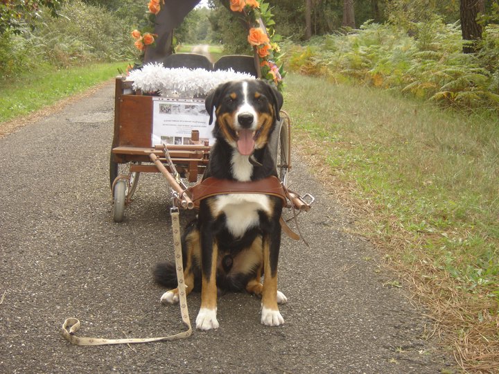 Publication : de la grande vallée blanche 