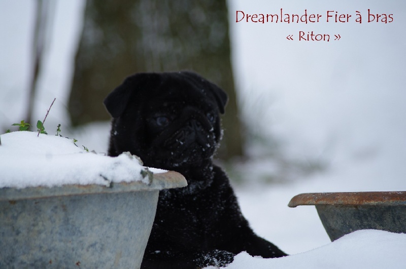 Publication : Dreamlander Auteur : www.dreamlander.fr