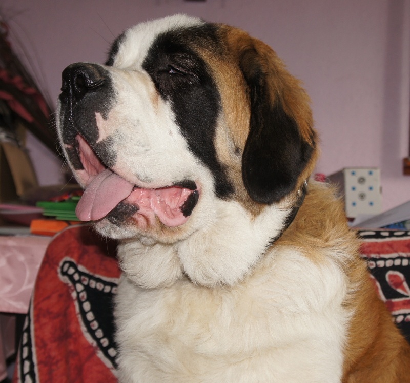 Publication : de la ferme de Terranova