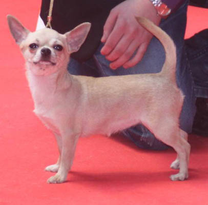 Equinoxe Des berges de la durance