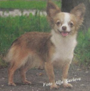 zhemchuzhina iz kuskovo Betti