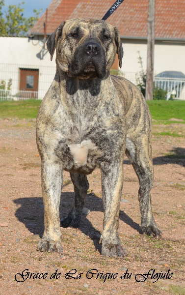 Grace De la crique du Flojule