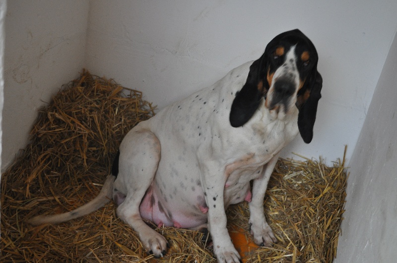 Publication : Du Plateau De La Semine