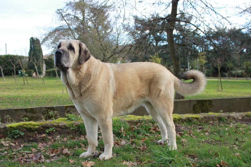 Publication : Du Haut Du Bois De La Garde