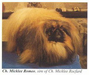 CH. micklee Romeo