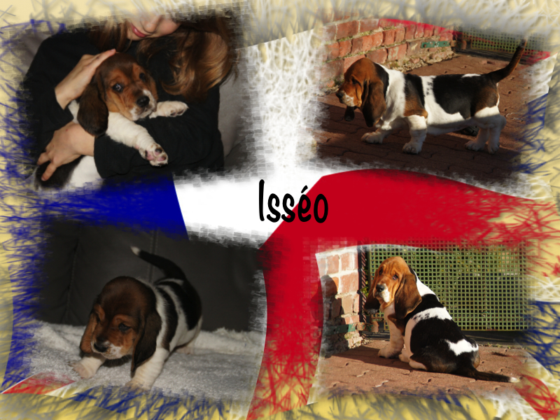  Auteur : Pascale Cambier