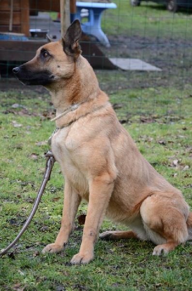 Publication : du domaine de Louxor