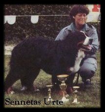 CH. sennetta's Urte