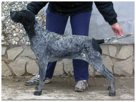 Publication : Khyannes Auteur : Timea Szoke