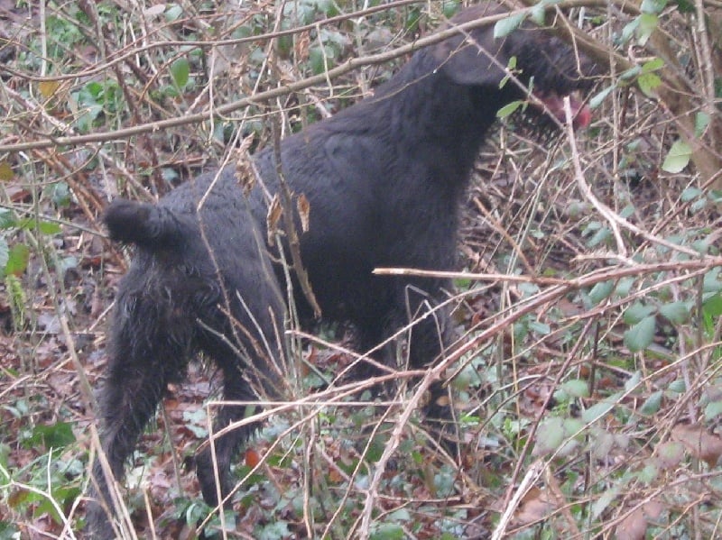 Publication : De La Plaine D'assé 