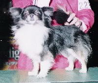 southern wave jp Tymm arther