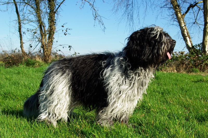 Horlane Du Jardin Des Espiègleries