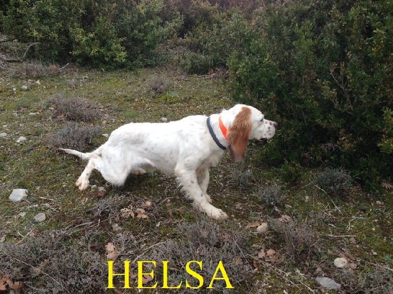 TR. Helsa du mas des Vernets