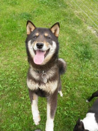 Publication : de L'Arche des Dieux 