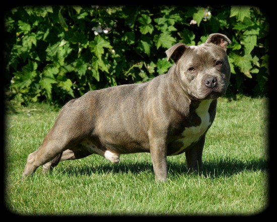 Publication : du Domaine de Ferôge