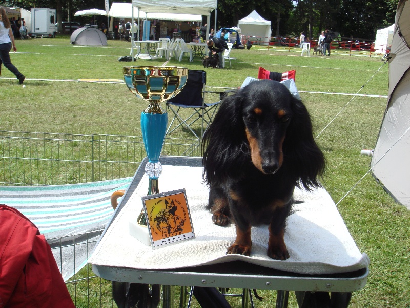 Publication : Des Teck' Elfes Du Vexin