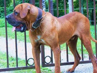 Yume no meigetsu (Sans Affixe)