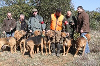 Étalon Chien de Saint-Hubert - Faro des limiers de l'Adour