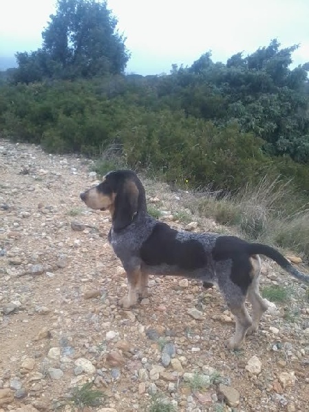 Publication : Les Hortes Du Riberal 