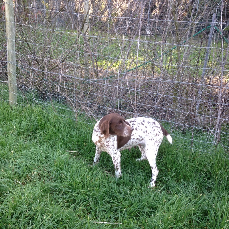 Publication : de Saint Montange