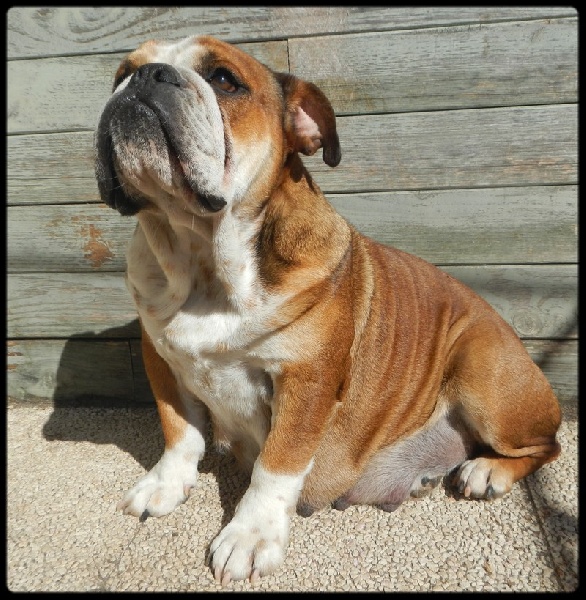 Publication : De la villenière 