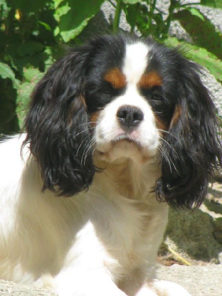 Publication : du Domaine De Justival Auteur : marieangegautier