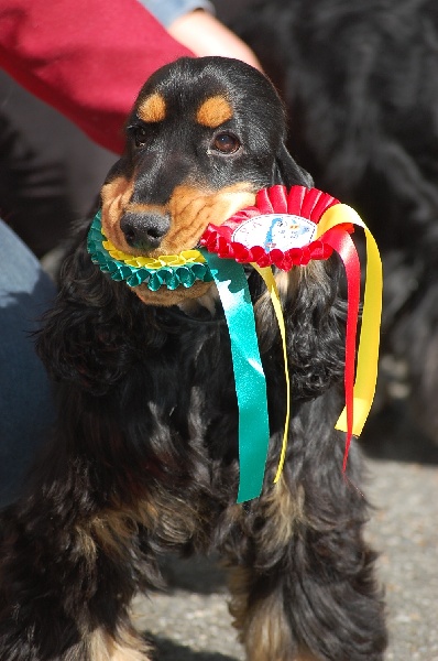 Publication : des tilleuls d'Arbageas Auteur : lageyre