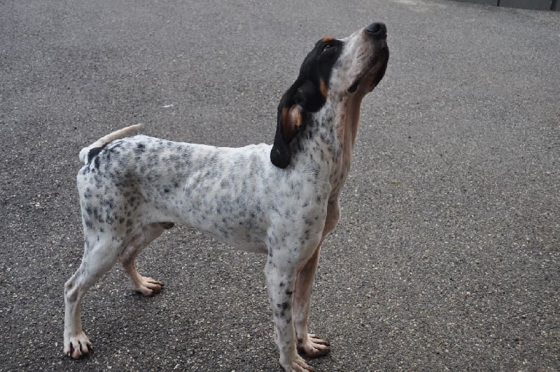 Publication : Du Plateau De La Semine 