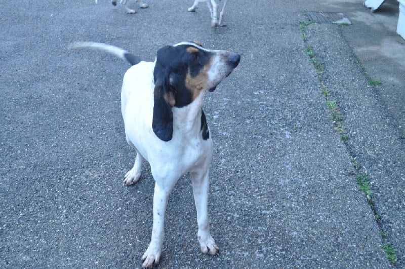 Publication : Du Plateau De La Semine 