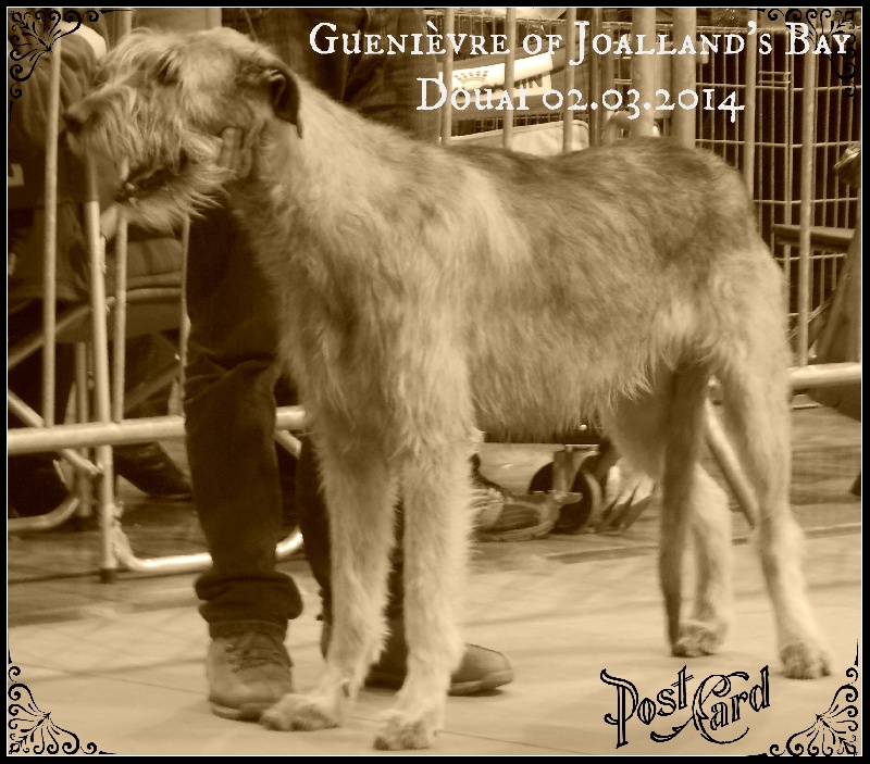 Publication : Of Circé's Shire Auteur : Eurielle Piquet