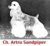 CH. Artru Sandpiper
