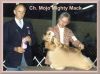 CH. mojo Mighty mack