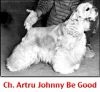 CH. Artru Johnny-be-good