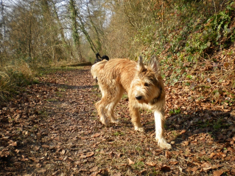 Publication : De La Sente Des Archers Auteur : Florence Andrieu